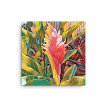 Load image into Gallery viewer, Pink Ginger Flower Canvas
