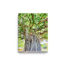 Load image into Gallery viewer, Banyan Tree Nob Hill (Ford Island) Canvas
