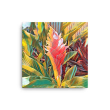 Load image into Gallery viewer, Pink Ginger Flower Canvas
